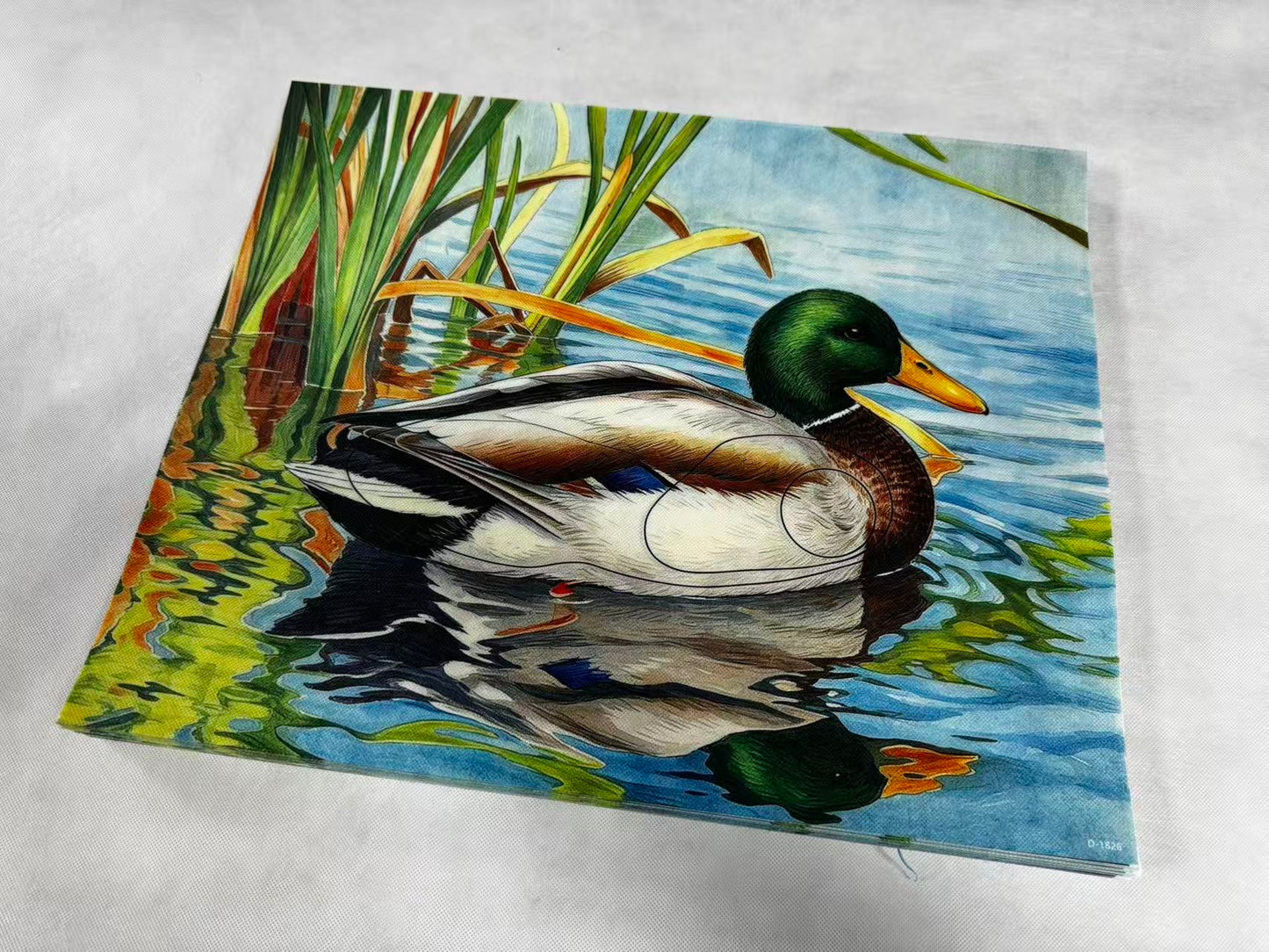 Animal target face (Non-woven fabric & Kraft paper) - Duck