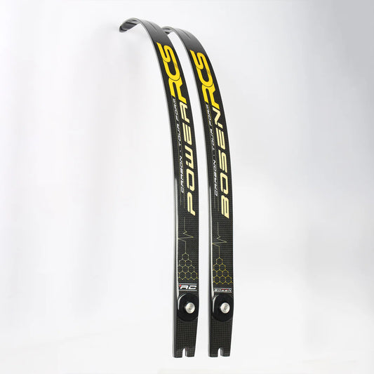 BOSEN - RCS FOAM CORE CARBON ILF & FORMULA LIMBS GLOSS FINISH