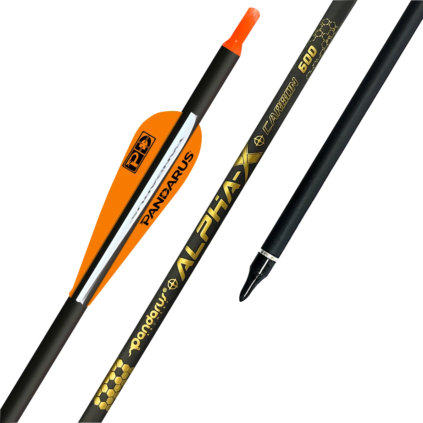 PACKAGE - Beginner Compound Bow Target Package (TOPOINT, SPG, PANDARUS Combo)