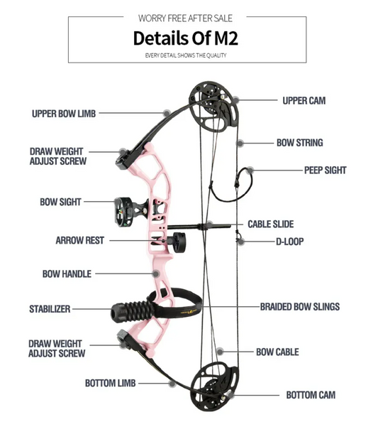 TOPOINT - M2 Compound Bow (RH only)