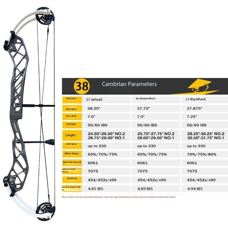 Pandarus cambrian 38" Compound Bow