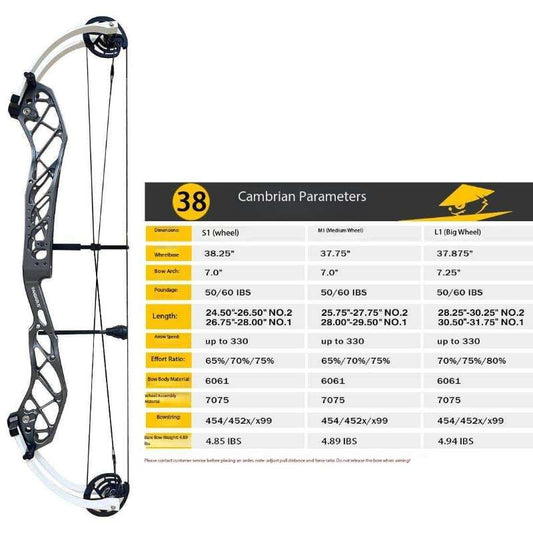 Pandarus cambrian 38" Compound Bow