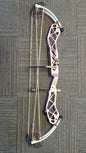 Pandarus Cambrian compound 40 (Pre-Loved)