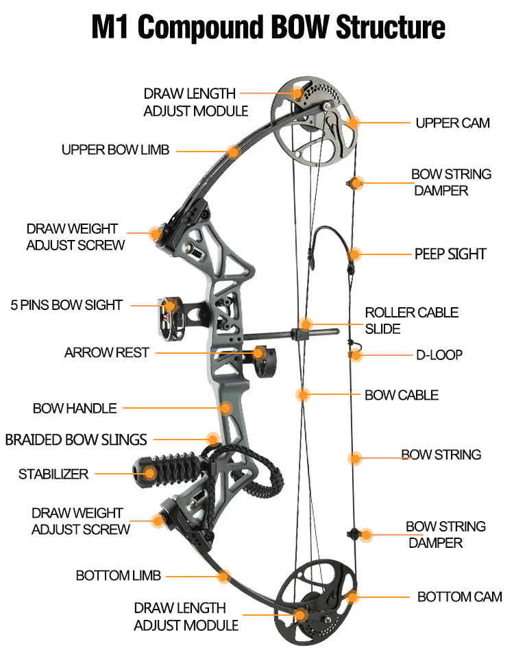 Topoint - M1 Compound Bow RH Only(two weeks delievery time)