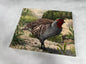Animal target face (Non-woven fabric & Kraft paper) - Partridge