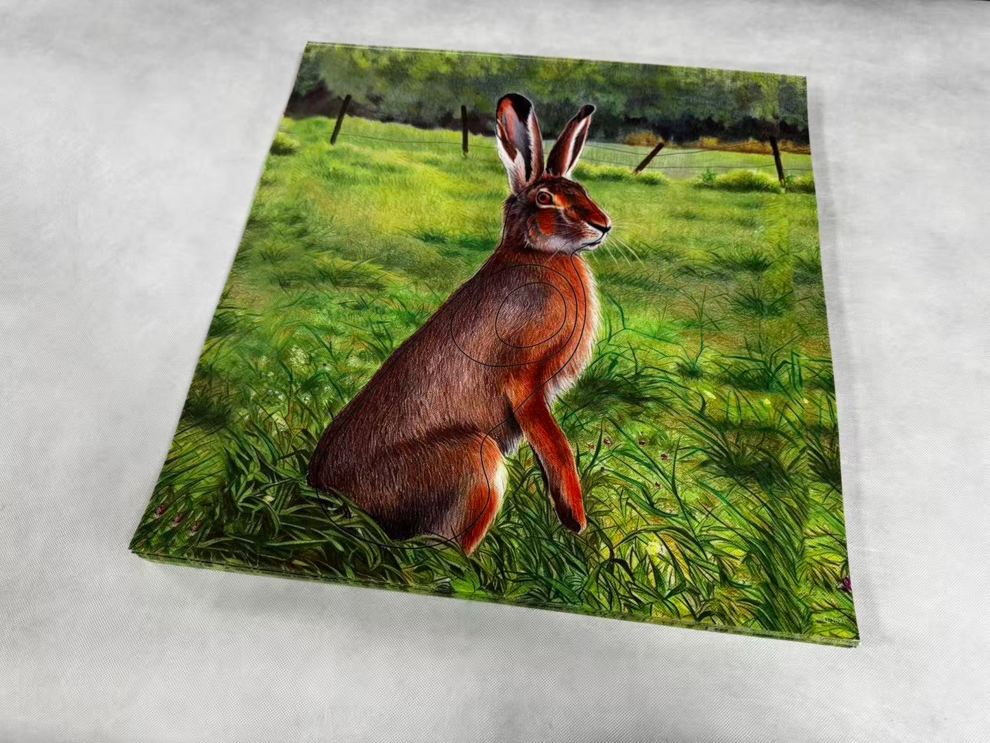 Animal target face (Non-woven fabric & Kraft paper) - Rabbit