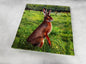 Animal target face (Non-woven fabric & Kraft paper) - Rabbit