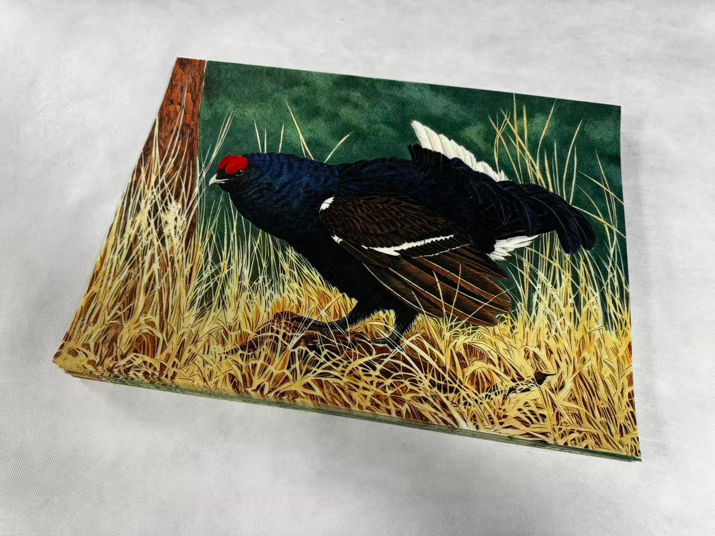 Animal target face (Non-woven fabric & Kraft paper) - Blue-Grouse