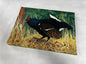 Animal target face (Non-woven fabric & Kraft paper) - Blue-Grouse