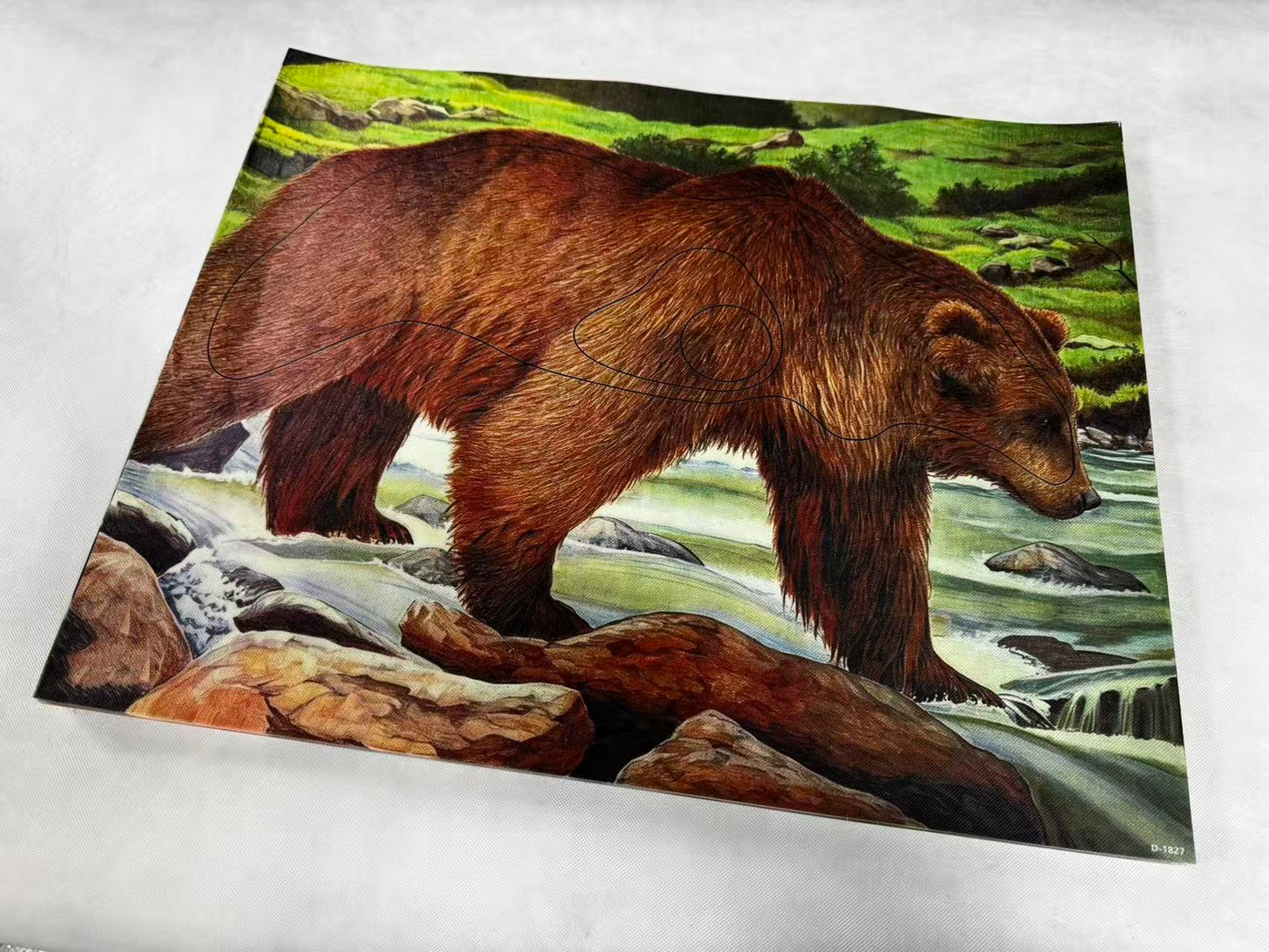 Animal target face (Non-woven fabric & Kraft paper) - Bear