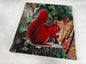 Animal target face (Non-woven fabric & Kraft paper) - Squirrel