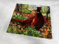 Animal target face (Non-woven fabric & Kraft paper) - Pheasant