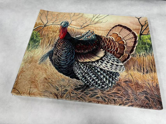 Animal target face (Non-woven fabric & Kraft paper) - Turkey