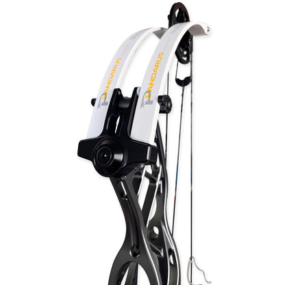 Pandarus cambrian 38" Compound Bow