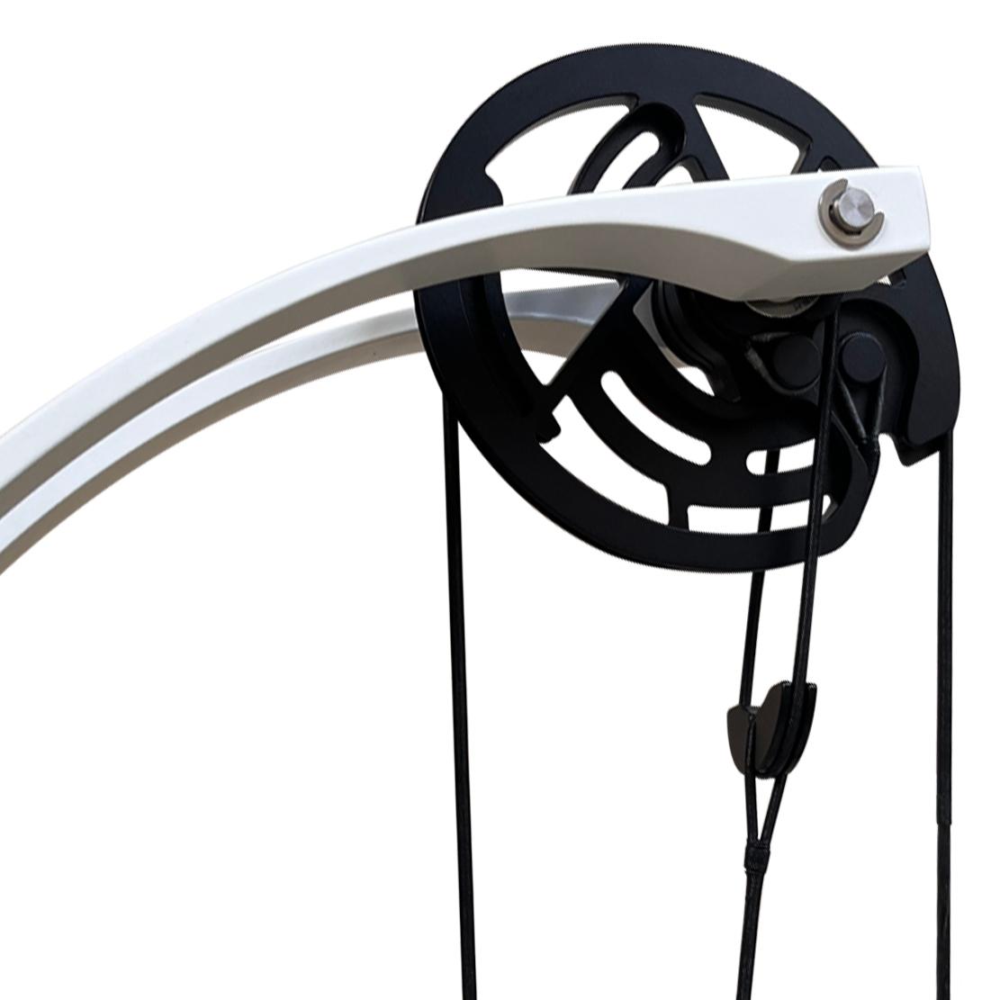 Pandarus Cambrian 40" Compound Bow