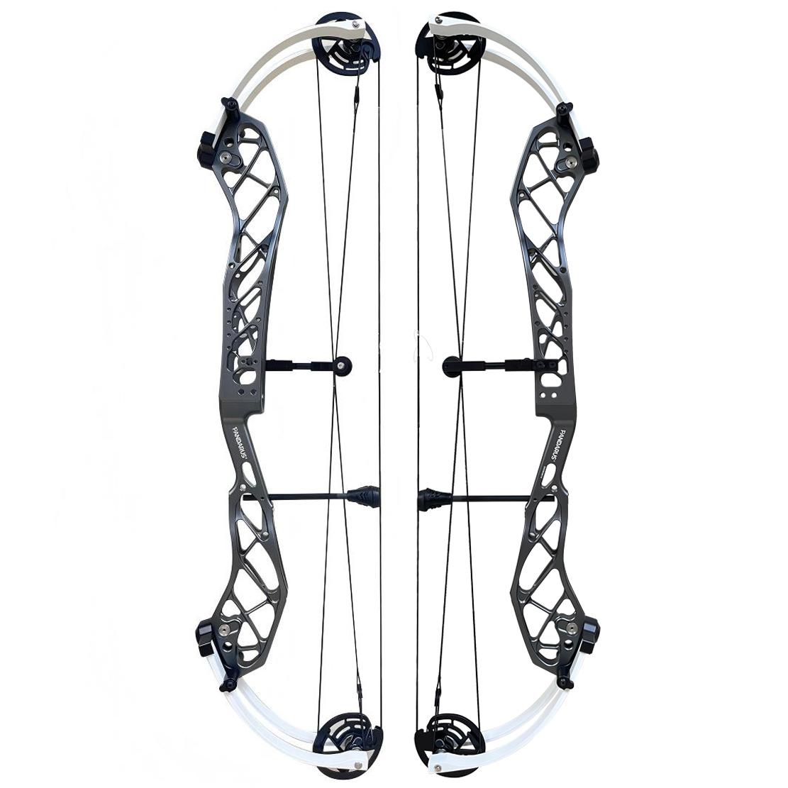 Pandarus cambrian 38" Compound Bow