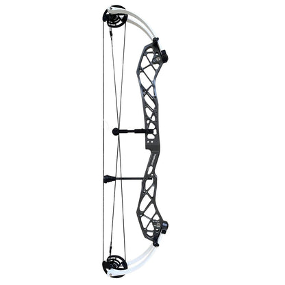 Pandarus cambrian 38" Compound Bow