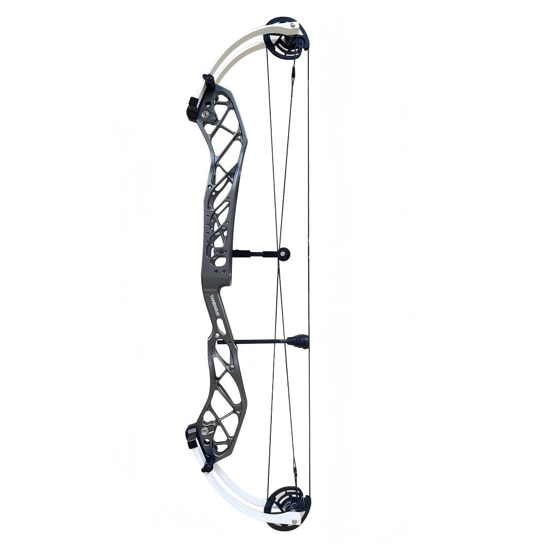 Pandarus cambrian 38" Compound Bow