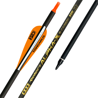 PACKAGE - Beginner Compound Bow Target Package (TOPOINT, SPG, PANDARUS Combo)