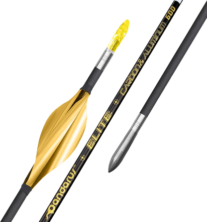 Pandarus - ELITE XT parallel shaped CAC structure arrows
