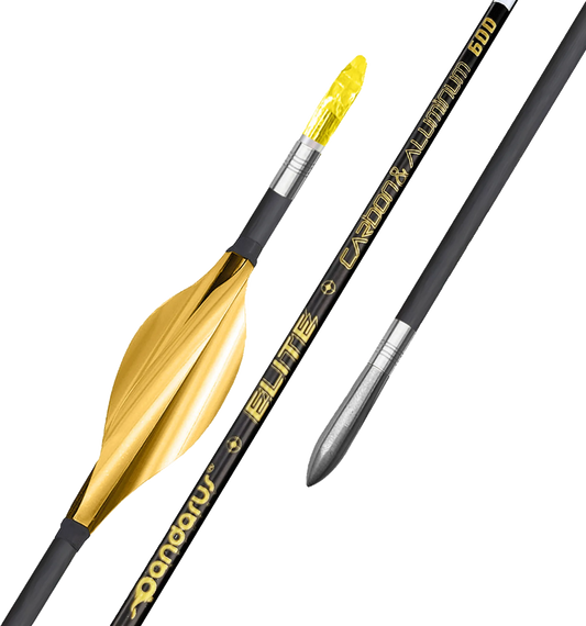 Pandarus - ELITE XT parallel shaped CAC structure arrows