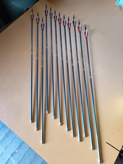 Set of 12 Pandarus Alpha XT arrows, 25". Carbon fibre