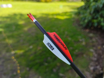 Set of 12 Pandarus Alpha XT arrows, 25". Carbon fibre