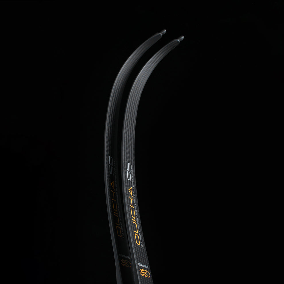 BOSEN BOWS S5 Competition Limbs – Solid Back Wall, Extreme Durability, and One‑Piece Molded Integrity