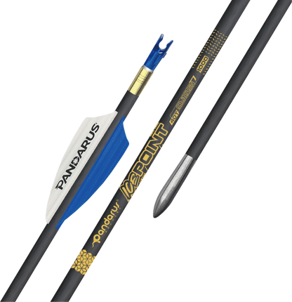 PANDARUS - ICE Point Arrows 0.001 Straightness Gold Label