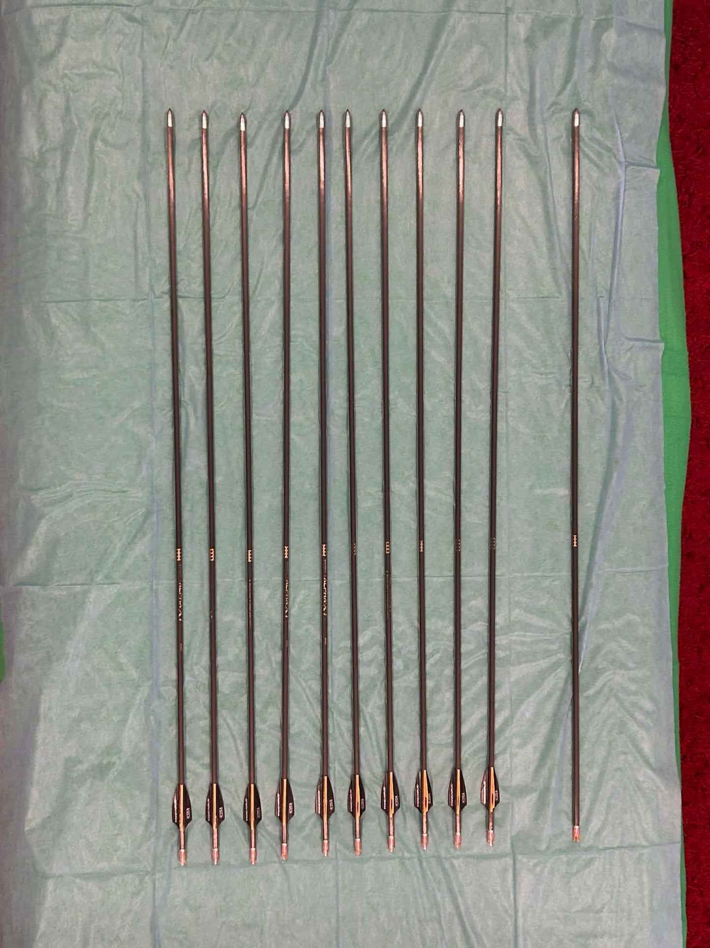 10 Pandarus alpha XT + 1 bareshaft 600spine