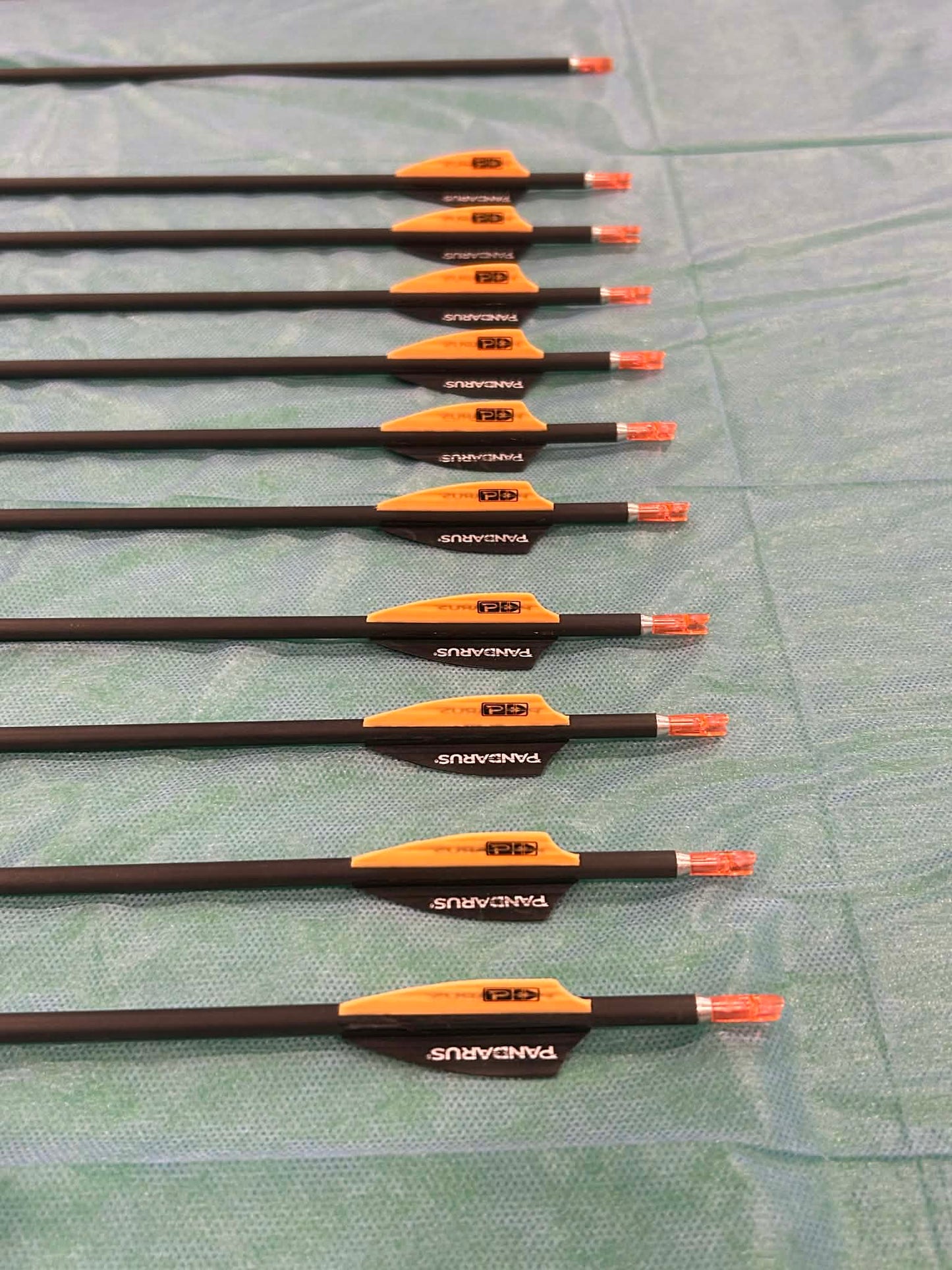 10 Pandarus alpha XT + 1 bareshaft 600spine