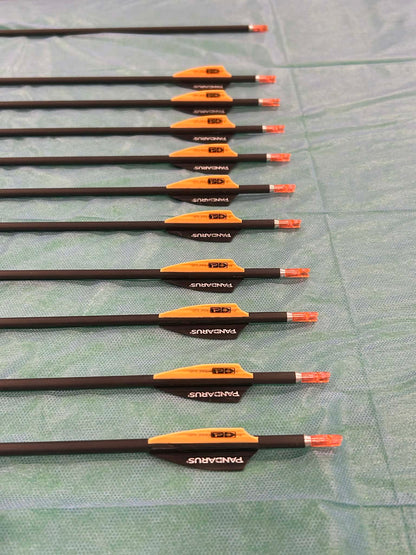 10 Pandarus alpha XT + 1 bareshaft 600spine