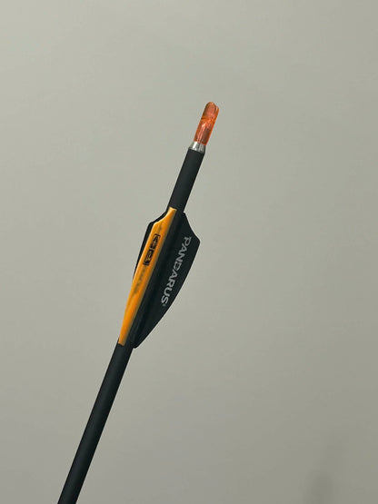10 Pandarus alpha XT + 1 bareshaft 600spine