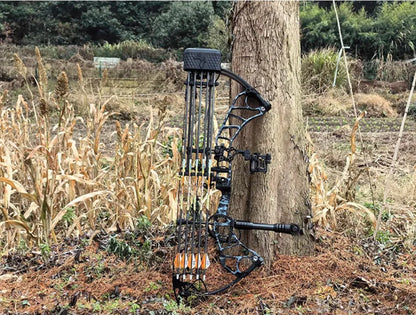 Topoint - ACUITY 31" Compound Bow (2 months delivery)
