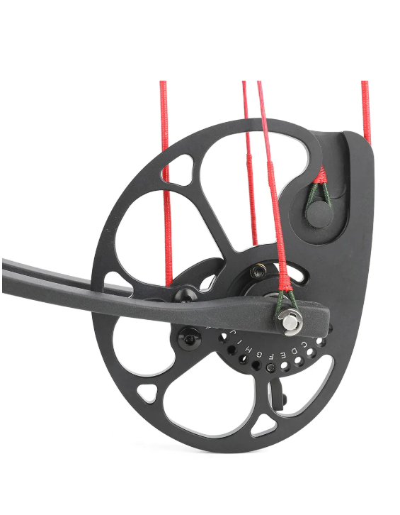 LWAND - PANGO Hunting Compound bow (2 months pre-order)