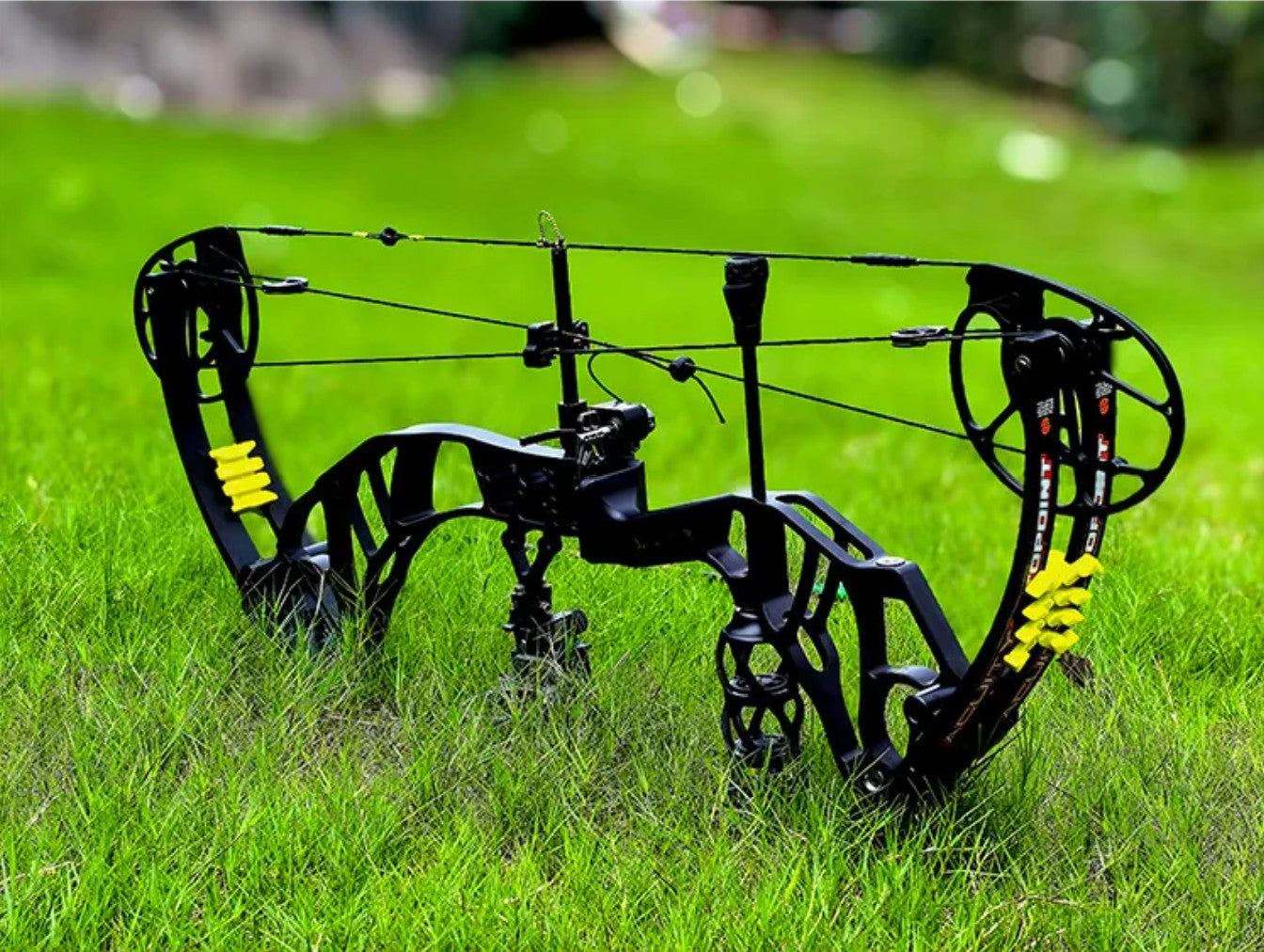 Topoint - ACUITY 28" Compound Bow (2 weeks delivery)