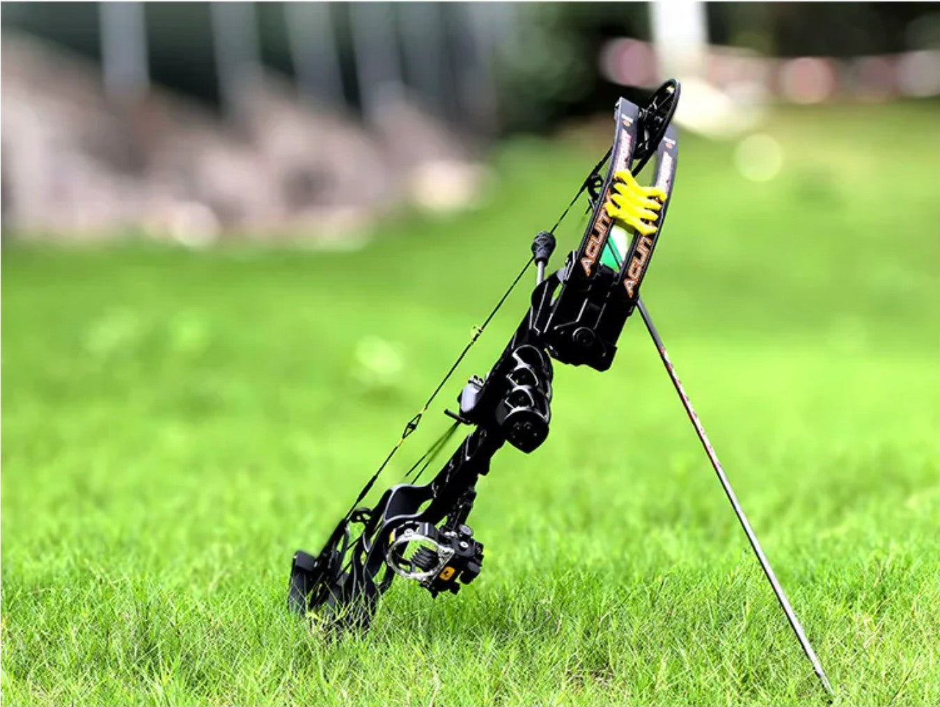 Topoint - ACUITY 28" Compound Bow (2 weeks delivery)