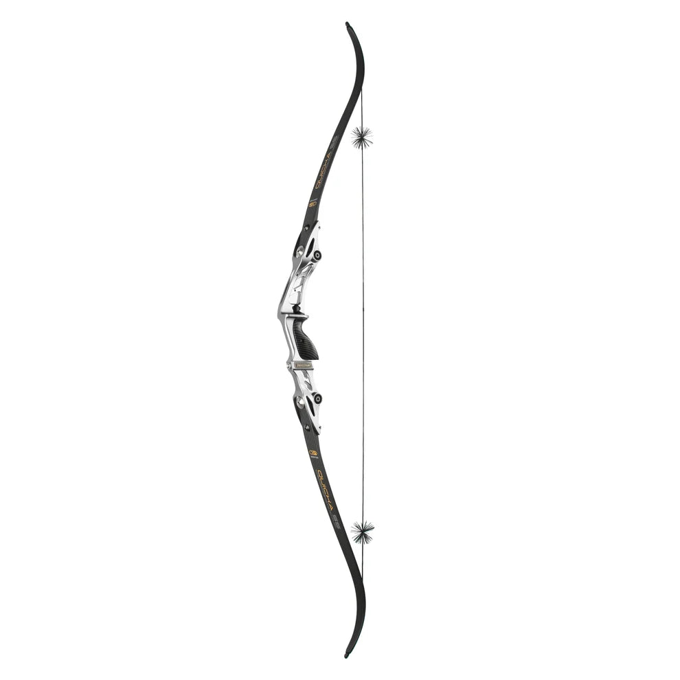 BOSEN BOWS S5 Competition Limbs – Solid Back Wall, Extreme Durability, and One‑Piece Molded Integrity
